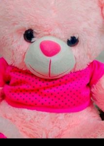 New Teddy Bear