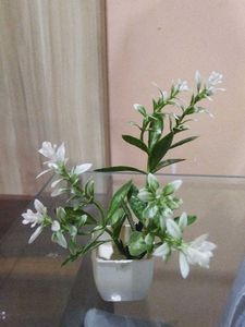 Set Of 10 Mini Artificial Plants.