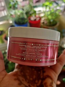 Champagne Toast Body Butter