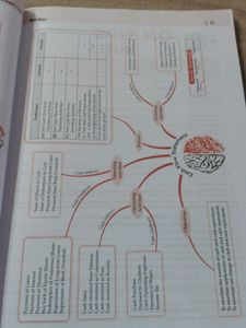 CBSE Class 12 Accountancy Sample Paper