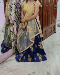 Gorgeous Lehenga Choli