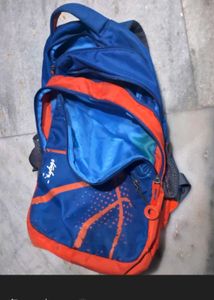 Skybags Branded Backpack 32 L With Rain Cover