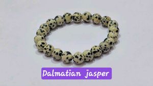 Dalmatian Jasper Stone Bracelet