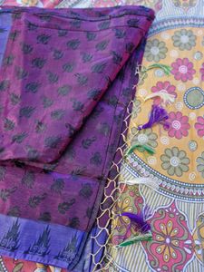 Beautiful Festive Wear Saree