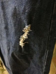 Ripped Dark Blue Jeans