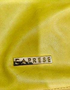 Caprese Handbag