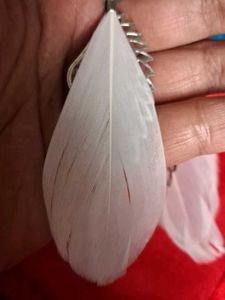 Feather Wing Earrings