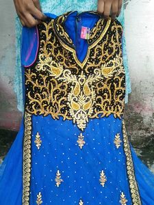 This Beautiful Net Gown