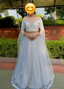 Elegant Silver Lehenga Choli Set