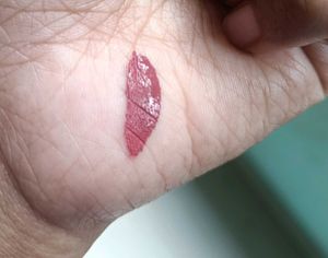 Just Herbs Eyeshadow Lidsticks 👁️✨