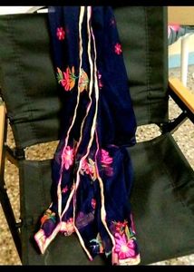 Party Wear Duppata