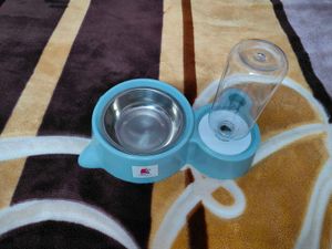 New Cat/Dog food Bowl