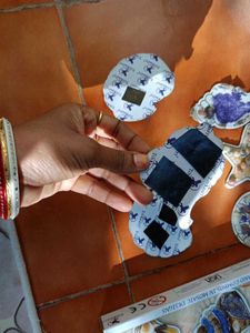 Shells Fridge Magnets