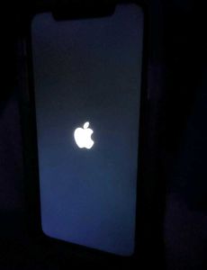 Apple Iphone 11 Working