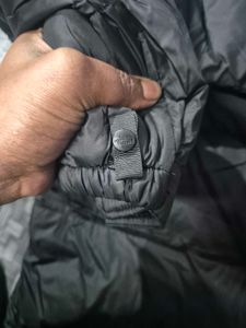 Brand New NorthFace Jacket