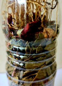 Roots and Herbs in Bottle