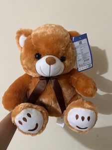 Brown Teddy Bear