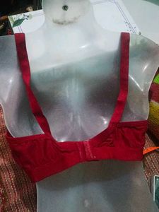 belt Bra