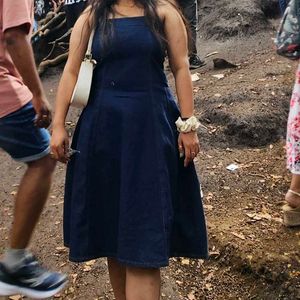 Denim Fit & Flare Dress Savana