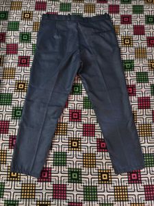 Blue Slim Fit Pant