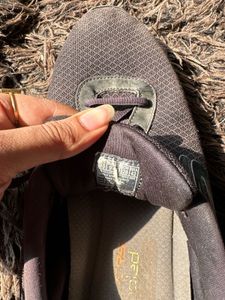 Skechers Shoes In Good Condition