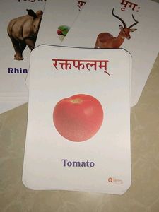 Vocabulary Flashcards