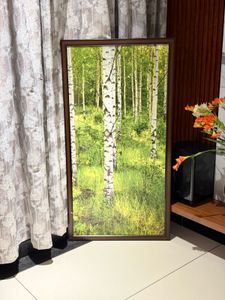 Imported Beautiful Nature Frame