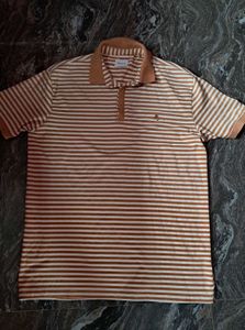 Stripped Polo Tshirt 🤍