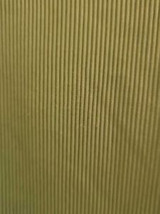 Cute Green V-Neck Crop Top