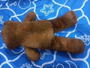 Big Size Teddy Bear
