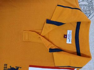 Branded Polo T Shirt For Boys 8/9