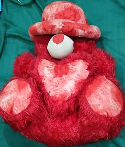 Red and White Teddy Bear 🐻