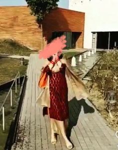 Sequinned kurta with organza plaza and dupatta