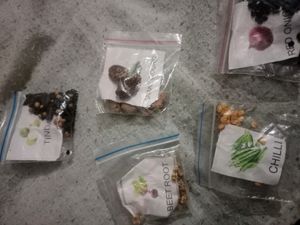 5 Vegetable Seeds