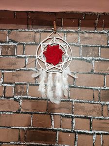 Colour Of Love, Peace, Safety