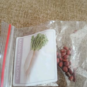 Vegetable Seeds