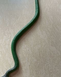 Snake Toy