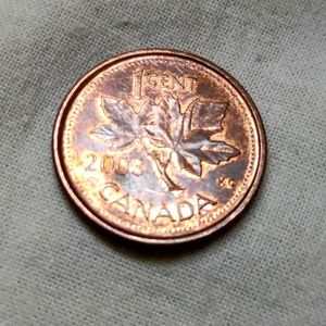 🇨🇦 Canada coin 🇨🇦