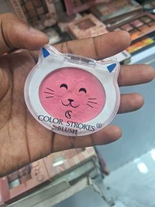Color Strokes Cat Blush