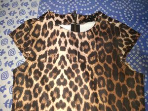 Asos Brand Peplum Leapord Print Top Luxury