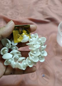 Shell Design Earning