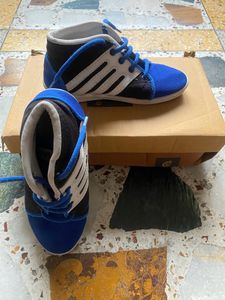 Shoes Blue Stylish