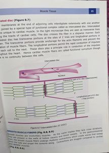 Textbook Of Histology, 2nd Edition