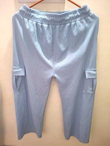 Blue Striped Cropped Pants
