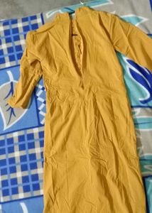one piece dress mustanrd