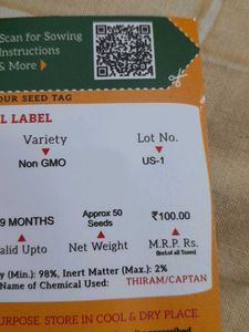 VEGETABLE SEEDS-CHILLI JWALA