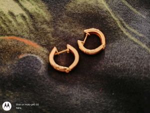 Beautiful Gold Demifine Earrings