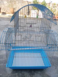 🐦 Brid Cage