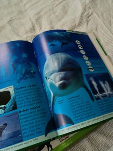 Children&#39;s Encyclopaedia (2 Books)