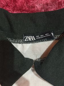 Collared Crop Top